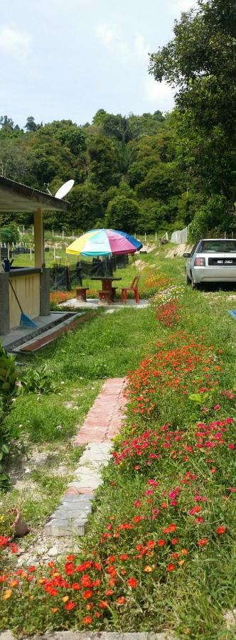 Kuntum Cottage Bed & Breakfast Kampung Tanjung Ipoh ภายนอก รูปภาพ