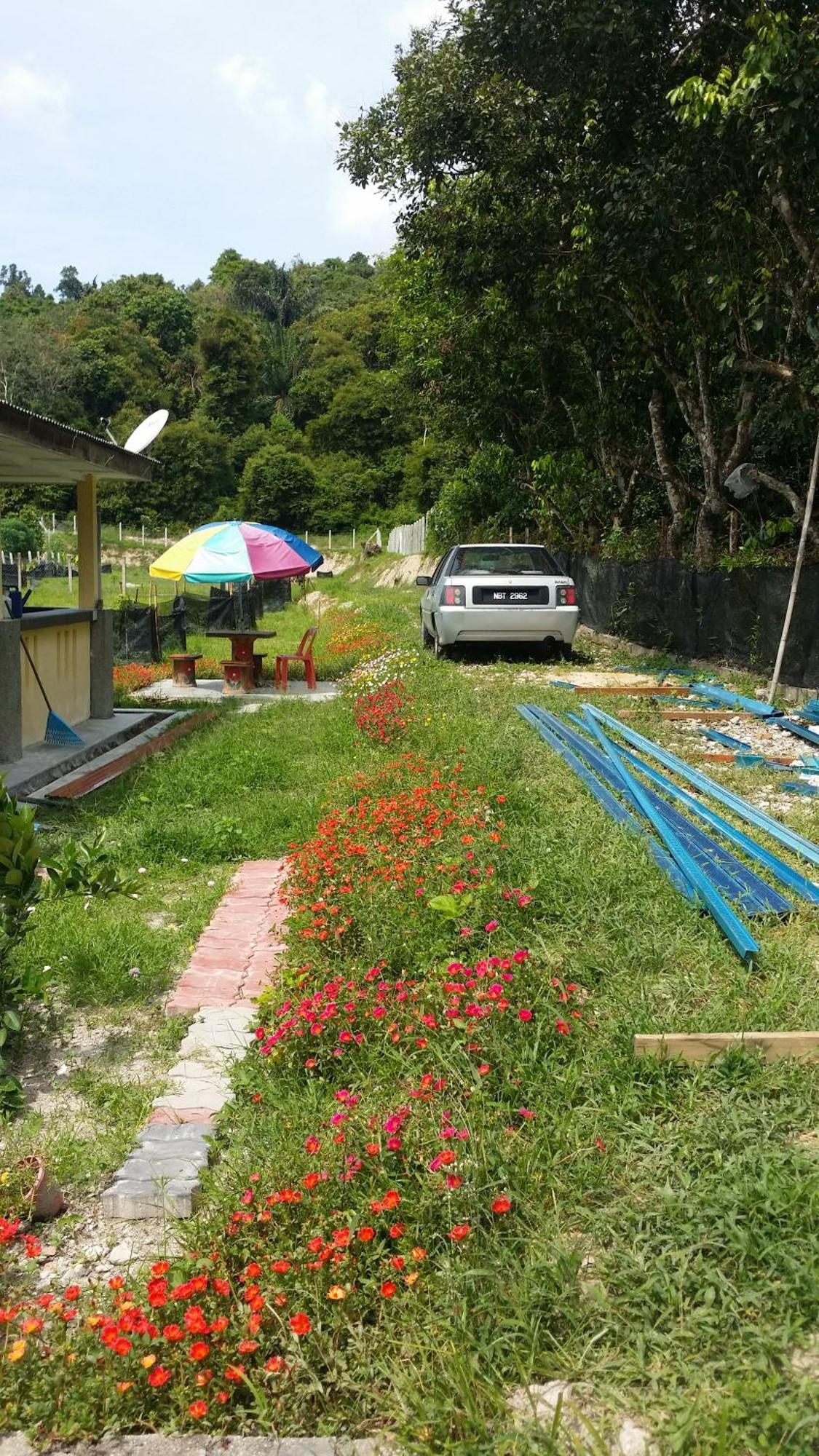 Kuntum Cottage Bed & Breakfast Kampung Tanjung Ipoh ภายนอก รูปภาพ